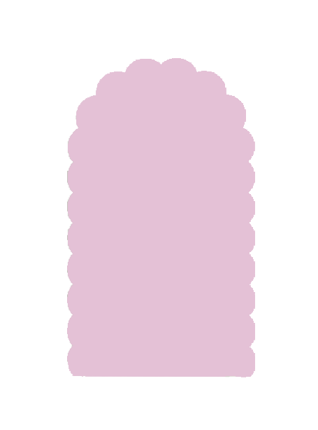 Scalloped Backdrop - 40x80"